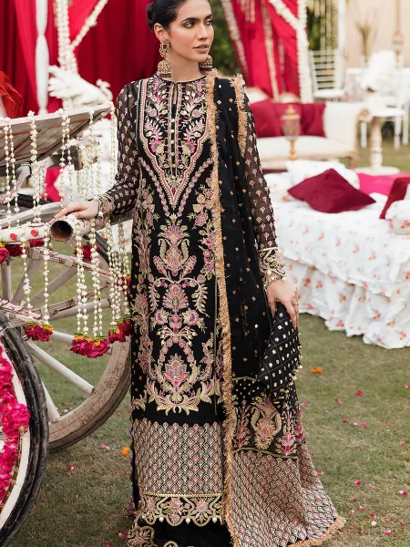 Buy Pakistani suits in Lahore at Fabcollections with embroidered chiffon panels, organza borders, and raw silk dyed trousers. Free shipping & COD!